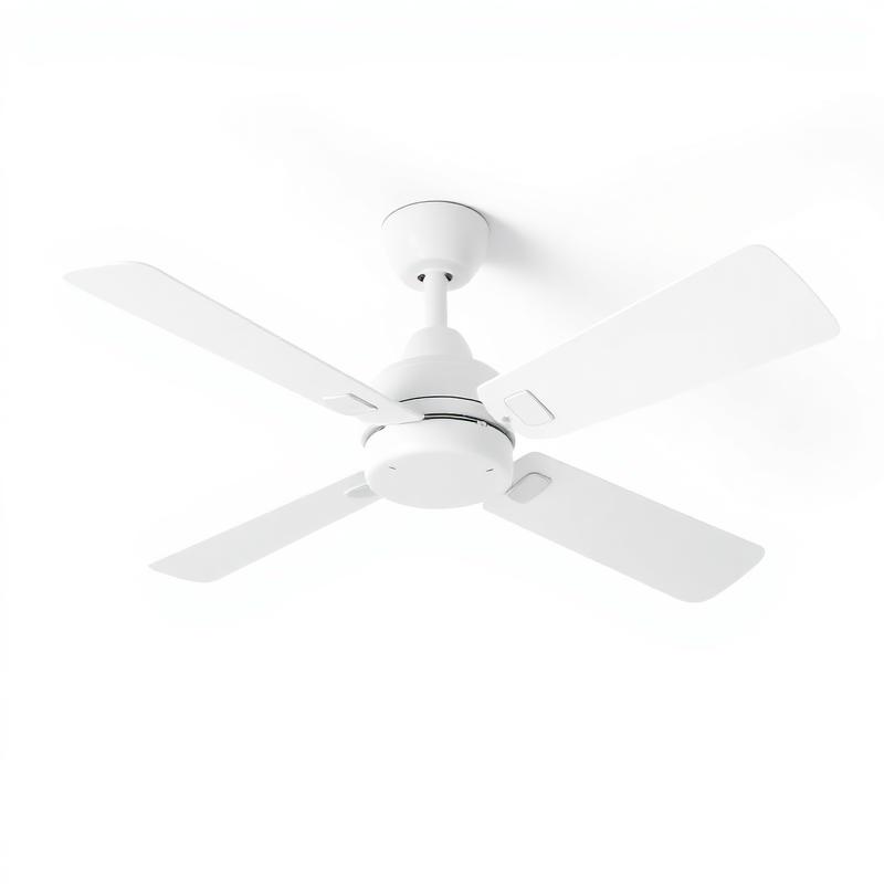 Fans & Ventilation